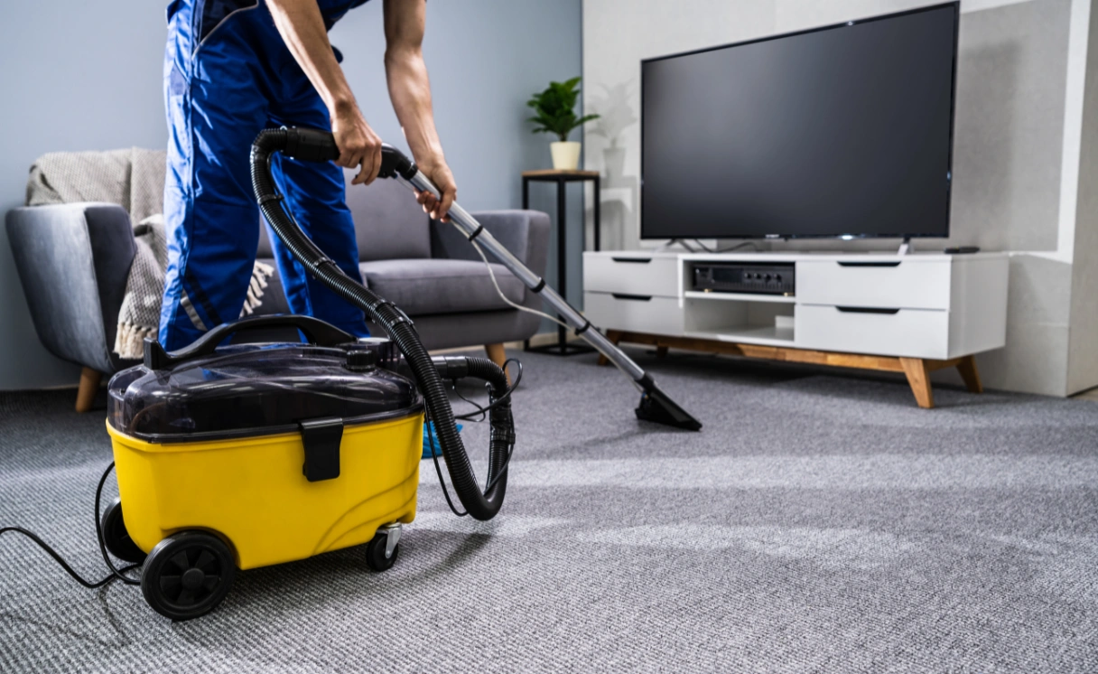 Extract Upholstery Cleaning Seaford Contact Office